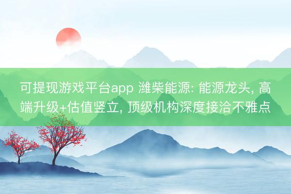 可提现游戏平台app 潍柴能源: 能源龙头, 高端升级+估值竖立, 顶级机构深度接洽不雅点